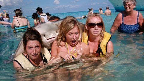 18 Fotos, die durch Tiere erst richtig besonders werden