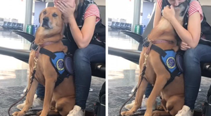 Der Hund erkennt die Panikattacke seiner Besitzerin: Seine Reaktion gehört zu den süßesten Dingen, die Sie heute sehen werden