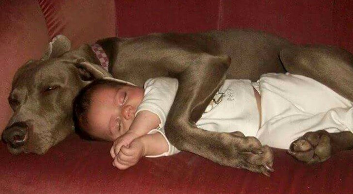Wunderschöne Fotos von Kindern, die das Glück haben, mit einem Haustier aufzuwachsen