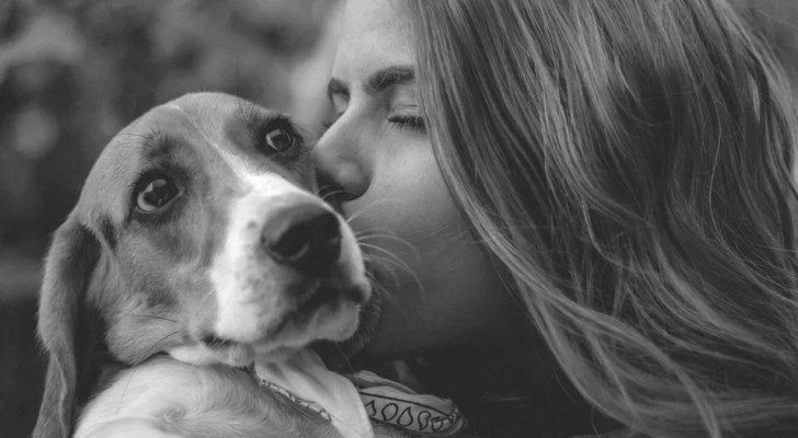 Mein Hund ist nicht mein “Haustier”, sondern Teil meiner Familie