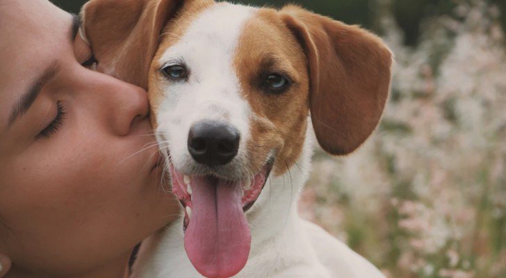 Wunderbare Gedanken, die jeder mit einem Hund in seinem Leben lesen sollte
