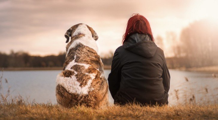 Der Tod eines Haustieres schmerzt so sehr wie der Verlust eines geliebten Menschen, sagt die Psychologie