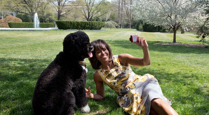 Wer einen Hund hat, macht mehr Selfies mit ihm, als mit einem Partner: Das enthüllt eine kuriose Studie