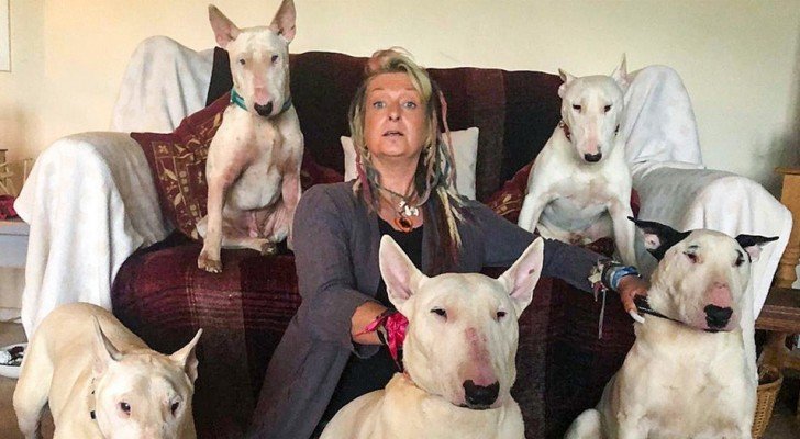 Ihr Mann zwang sie, sich zwischen ihm und ihren Hunden zu entscheiden: Die Wahl von Liz ist für viele Menschen eine Quelle der Inspiration