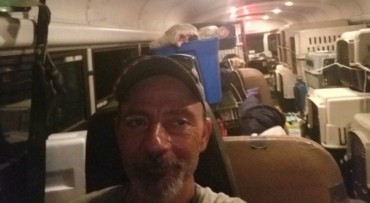Ein Fahrer sieht viele Tiere in Schwierigkeiten während des Hurrikans, also verwandelt er den Bus in eine Arche Noah