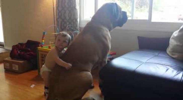 Dieses Baby und dieser kinderliebe Gigant begeistern die ganze Welt