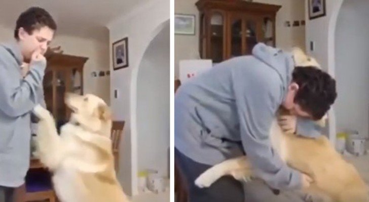 Dieses autistische Kind wird von seinem Hund während eines Angstanfalls beruhigt