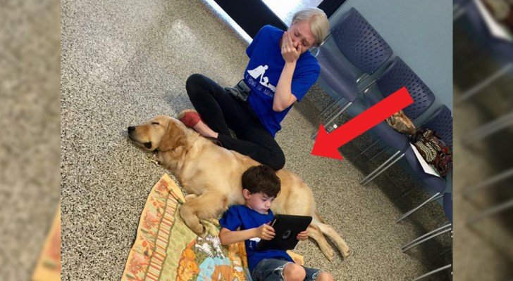 Die Mutter bricht in Tränen aus, als sie ihren autistischen Sohn mit seinem Therapiehund sieht: “Ich habe ihn noch nie so ruhig gesehen”