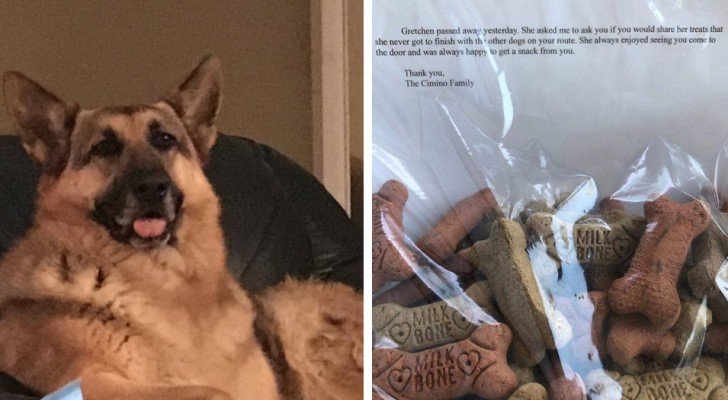 Der Hund stirbt: Die Familie dankt dem Briefträger, der ihm jeden Tag einen Keks brachte mit einer Notiz