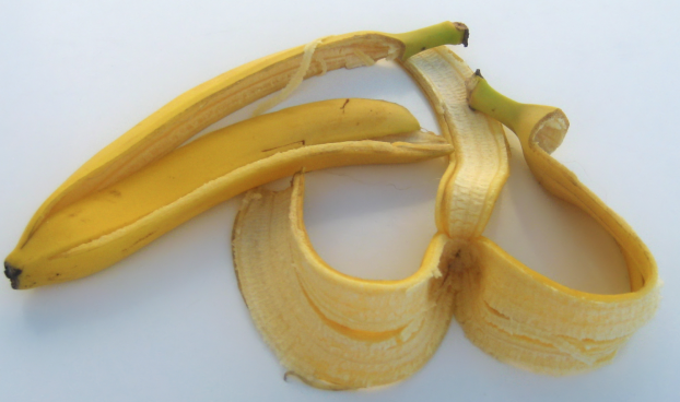 Wenn Du DAS gelesen hast, wirst Du diesen Teil der Banane nie mehr entsorgen.