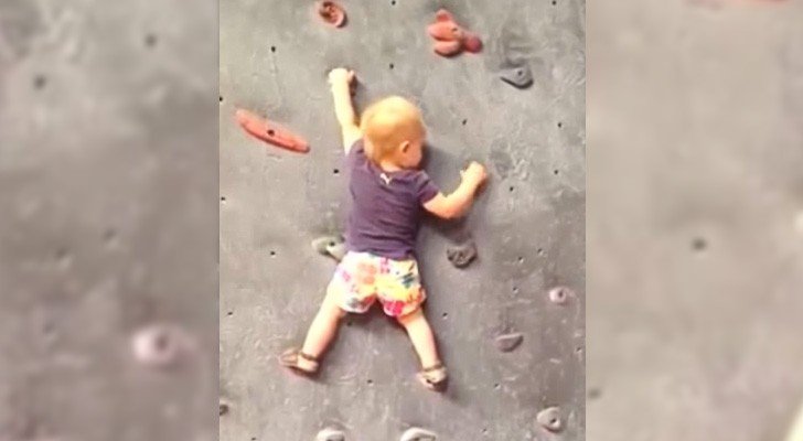 Dieses 18 Monate alte Mädchen läuft gerade einmal, aber was sie an der Kletterwand macht, ist unglaublich
