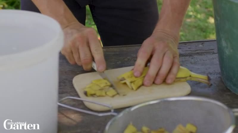 Bananenschalen nicht wegwerfen: Dafür kannst du sie noch verwenden