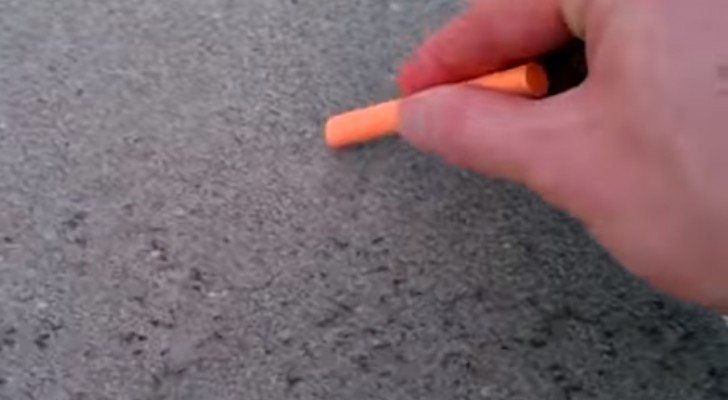 Eine einfache Methode, wie man Ameisen ohne Pestizide los werden kann
