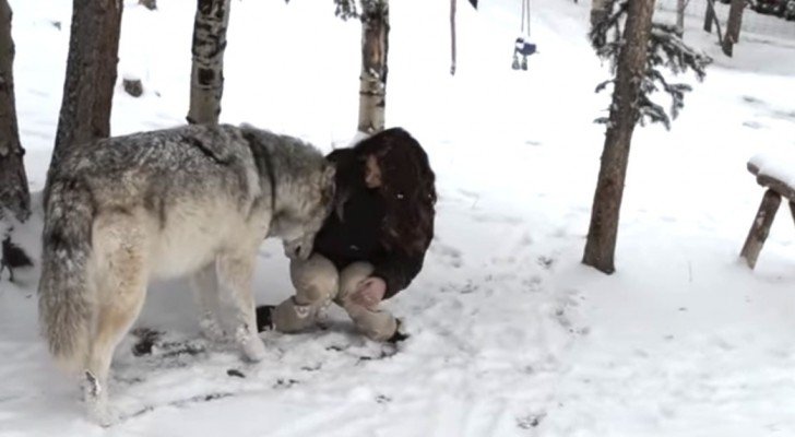 Sie findet im Wald einen großen Wolf. Niemand hätte so was erwartet