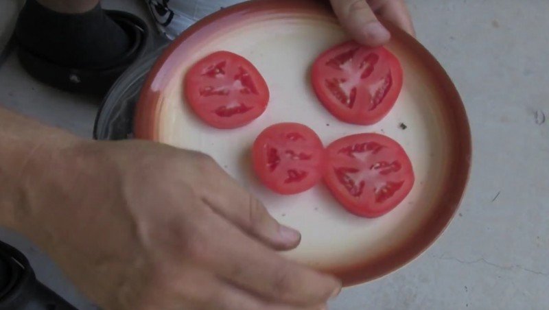So züchtet man aus Tomatenscheiben neue Pflanzen.