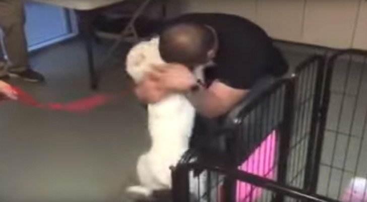 Der Hund war 22 Tage verschollen. Als er seinen Besitzer wiedersieht, ist die Freude groß