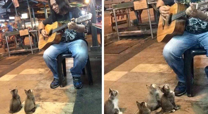 Er spielt einen Song auf seiner Gitarre, aber schaut mal, wer ihm zuhört
