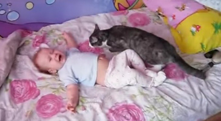 Das Kind liegt verzweifelt auf dem Bett: seht wie die Katze herbeieilt, um sich um das Neugeborene zu kümmern