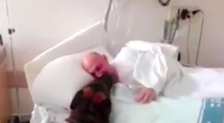 Seitdem er im Krankenhaus ist, hat er seinen Hund noch nicht wieder gesehen, aber eine Krankenschwester schafft das Unmögliche