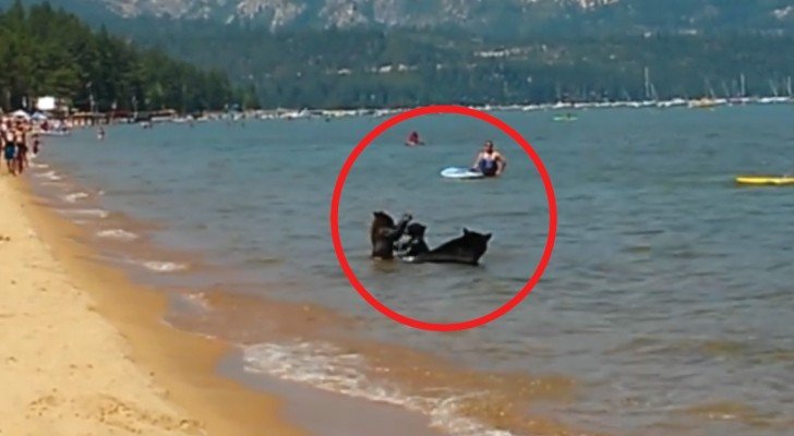 Die Touristen wohnen einer Szene bei, die sie wohl nicht so schnell vergessen werden…