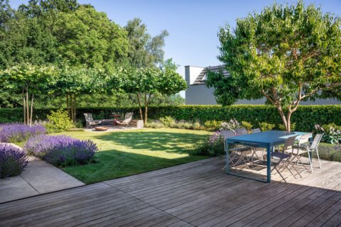 5 Trends, die uns die nächsten Gartenjahre begleiten werden.