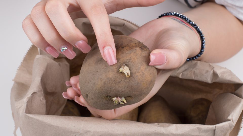 Keimen von Kartoffeln verhindern: Leg einen Apfel dazu