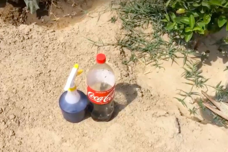Halt! Hebe die Cola doch lieber für den Garten auf, anstatt sie einfach wegzuschütten