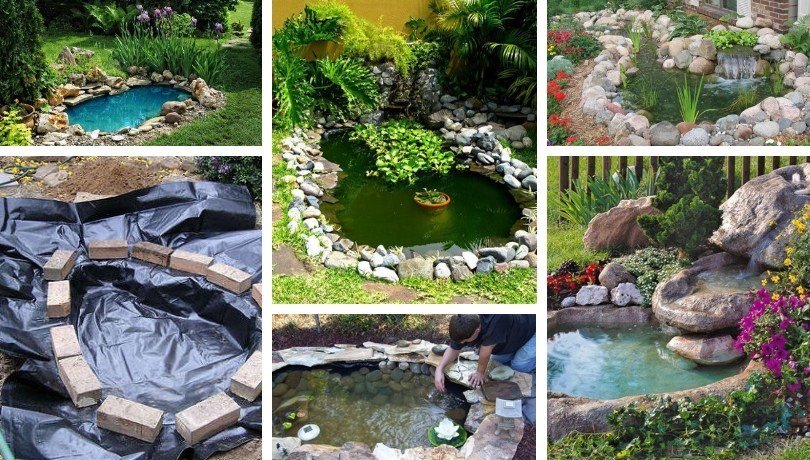 Einfache und kostengünstige DIY-Methode, um einen Teich im Garten zu bauen