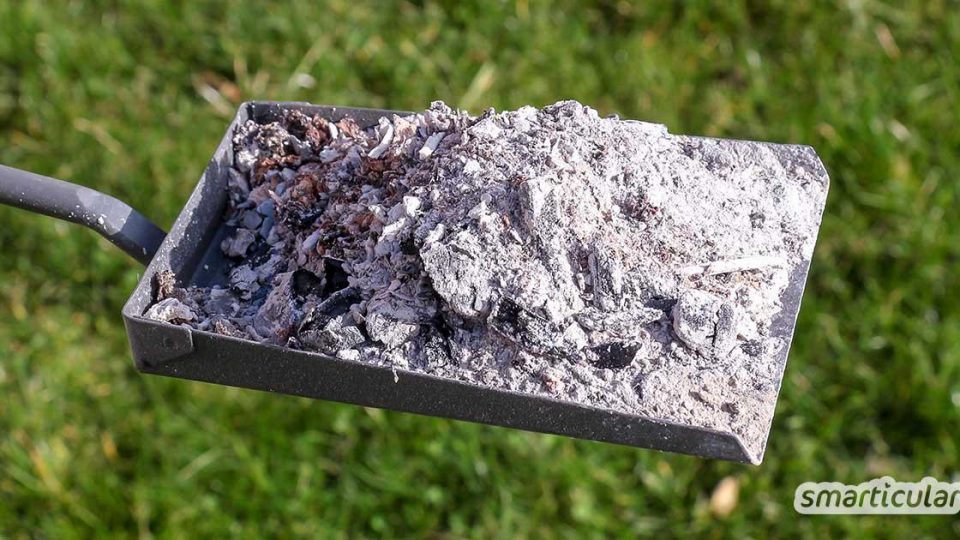 Holzasche als vielseitiges Hausmittel verwenden
