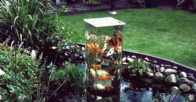 Kreative Ideen – DIY Koi Aussichtsturm im Gartenteich