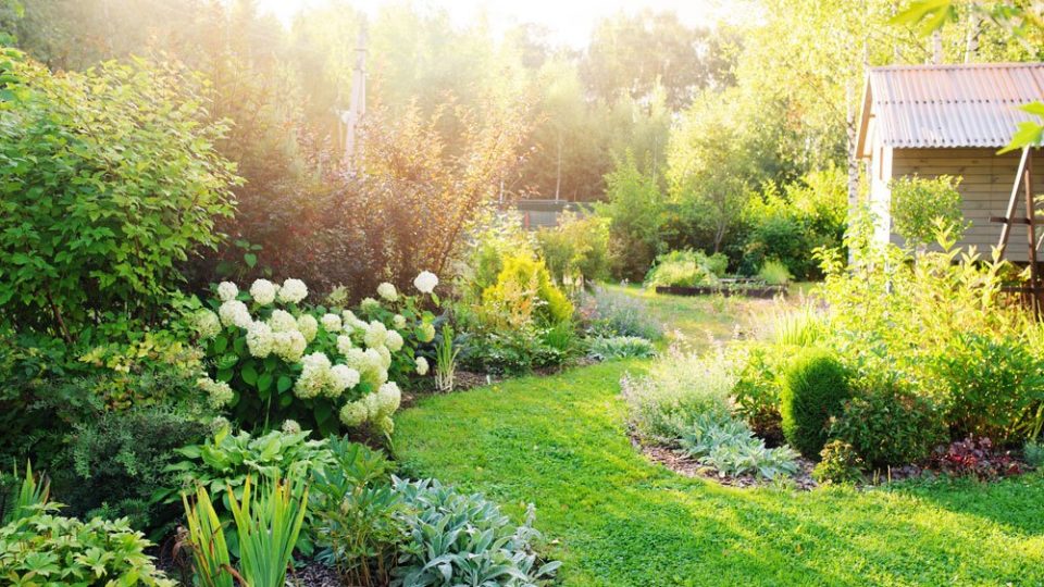 Schmalen Garten breiter wirken lassen – 5 leicht umzusetzende Tipps