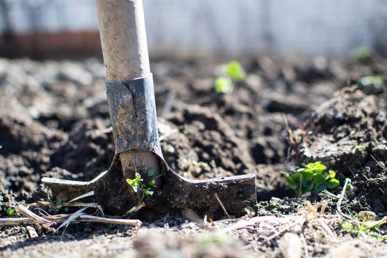 Das Wetter lädt eindeutig zur Gartenarbeit ein! Kennst du diese 9 Garten Tricks schon?