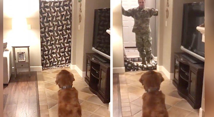Der Soldat kommt nach 9 Monaten nach Hause und macht seinem Hund eine schöne Überraschung