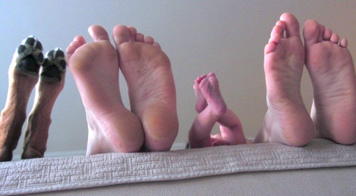 20 Bilder, die uns zeigen, wie die schönsten Momente mit der Familie sind