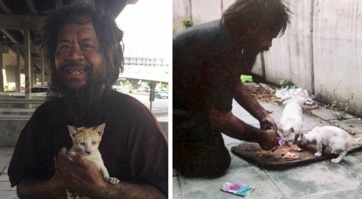 Dieser Obdachlose verkauft Limetten, um Essen für Straßenkatzen zu kaufen