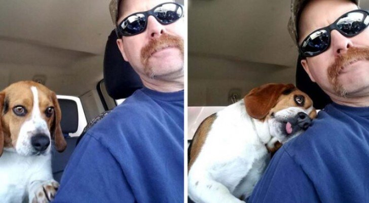 Ein Mann rettet einen Beagle vorm Einschläfern… und er dankt ihm mit all der Süße, zu der er fähig ist