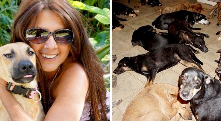 Diese Frau beherbergte 97 Hunde in ihrem Haus, um sie vor der Wut des Hurrikans Dorian vor den Bahamas zu bewahren
