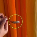5 mal besser als der Ventilator, einen Esslöffel über die Vorhänge streuen und alles abkühlen lassen
