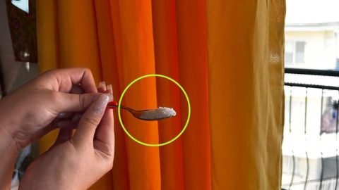 5 mal besser als der Ventilator, einen Esslöffel über die Vorhänge streuen und alles abkühlen lassen