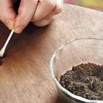 Warum so viel Kaffeesatz auf Holzmöbeln verstreut ist: unerwartet