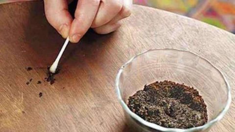 Warum so viel Kaffeesatz auf Holzmöbeln verstreut ist: unerwartet