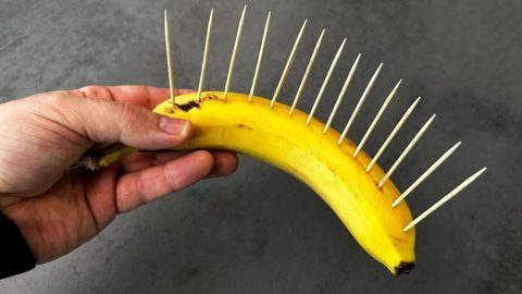 Tauchen Sie 10 Essstäbchen in eine Banane und sehen Sie, was als nächstes passiert: Es ist unerwartet